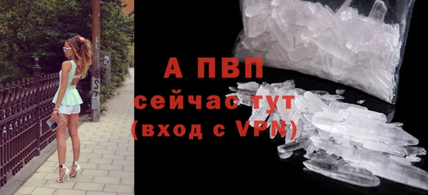 гашик Карталы