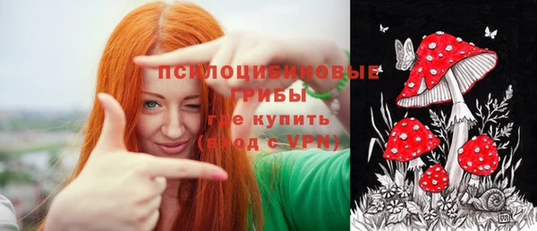 гашик Карталы