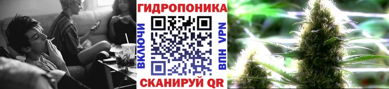 Бошки Шишки THC 21%  Махачкала 